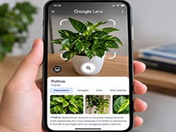 Google-Lens